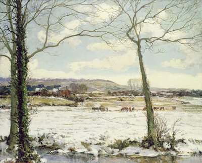 冷凍草原 作： Alexander Jamieson